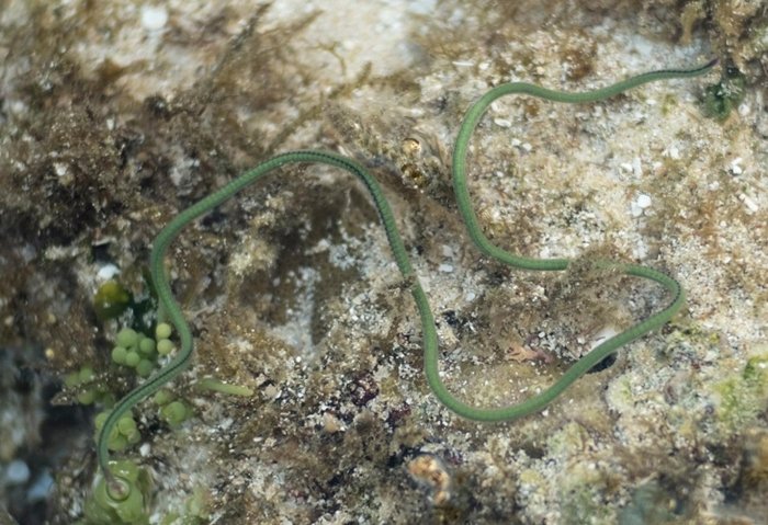 A27c2bbaa e4c2 44d6 9ddc da6bc9cd0500