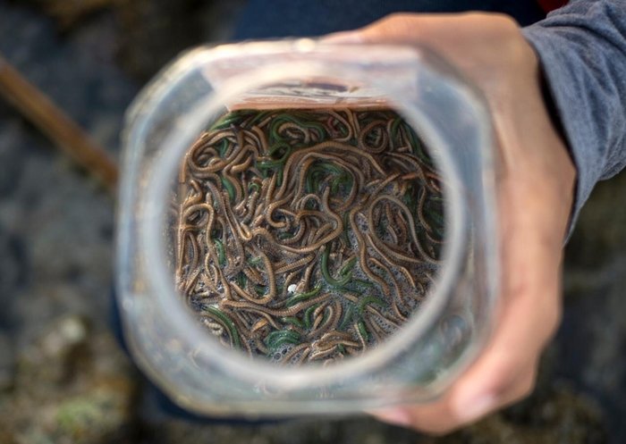 A388bedc3 72a5 441b 8d44 6669d0c1e51e