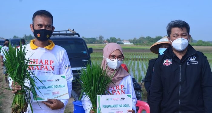 Program ‘SHARP MAPAN’ 1 Program ‘SHARP MAPAN’