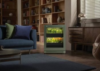 Berkebun Dalam Rumah Membawa Konsep Modern Hidup Lebih Hijau