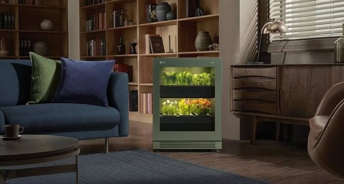 Berkebun Dalam Rumah Membawa Konsep Modern Hidup Lebih Hijau 1 Berkebun Dalam Rumah Membawa Konsep Modern Hidup Lebih Hijau