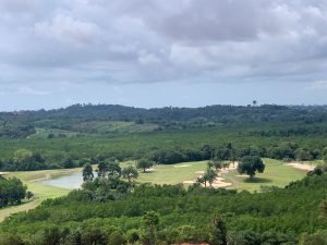Foto 3 - Hutan Mangrove di Nuvasa Bay Batam