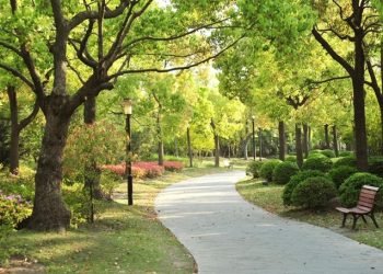 Astra Land Indonesia Hadirkan Hunian  Berkonsep Eco-Green