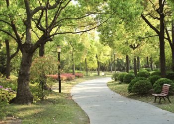 Astra Land Indonesia Hadirkan Township di Cikupa