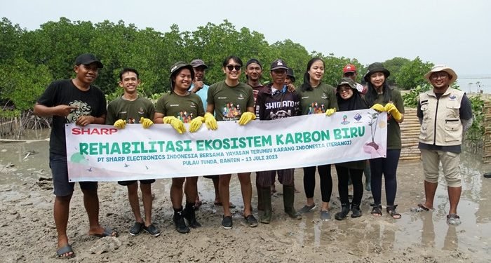 Sharp Indonesia Lakukan Rehabilitasi Ekosistem Karbon Biru