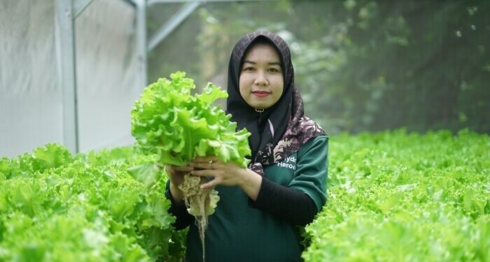 Hydro Heroes Sharp, Membangun Petani Muda Indonesia 1 Hydro Heroes Sharp, Membangun Petani Muda Indonesia