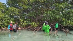 Anggota Sharp Greenerator bersama fasilitator dari Terangi melakukan pengamatan ekosistem pesisir di Pulau Pari