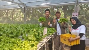 President Director Sharp Indonesia bersama pelatih program Sharp Hydro Heroes dan peserta SHarp Hydro heroes sedang memetik selada yang siap untuk di panen